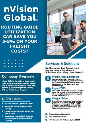 whitepaper nvision global